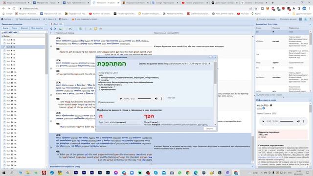 Где находится ДЕРЕВО ЖИЗНИ?/ Кто отключил АДАМА от него и почему?