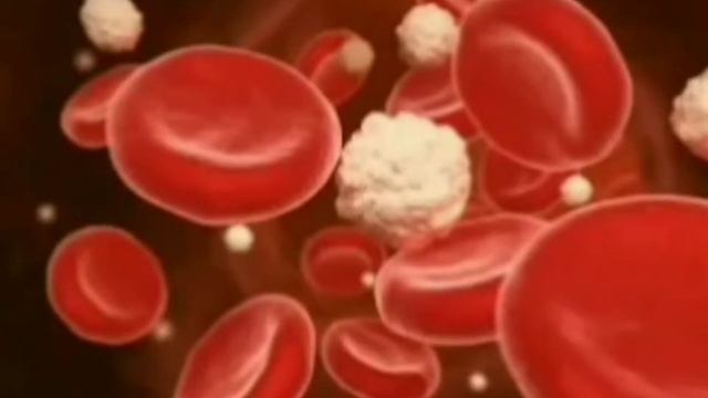 Free acupunture class lesson 2 (part4). Hr LathaMohan смотреть онлайн