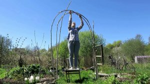 садовая АРКА своими руками / Garden arch from willow twigs