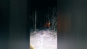 Встретил их ночью на кладбище...
