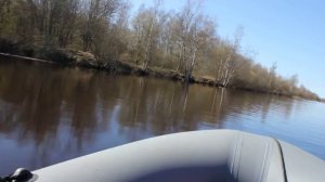 BoatMaster 310К + Tohatsu 5