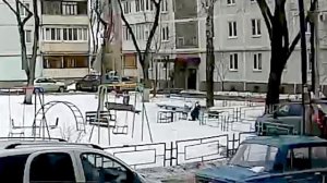 Собаки напали на мальчика на детской площадке