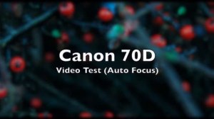 Canon EOS 70D Video Test