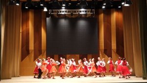 46 Хореографический коллектив ”Искорка”, г Воронеж Калинка
