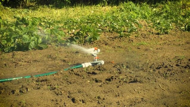 Полив огорода: ороситель пульсирующий Bradas WL Z31 смотреть онлайн