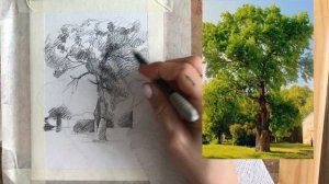Как НАРИСОВАТЬ ДЕРЕВО КАРАНДАШОМ✨пошаговая инструкция,онлайн урок