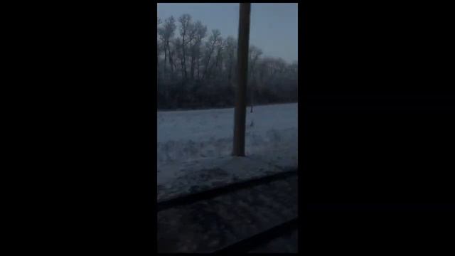 Поездка в лес зимой❄️| тихий влог | путешествие с друзьями, неделя из жизни, сосны??????⬛