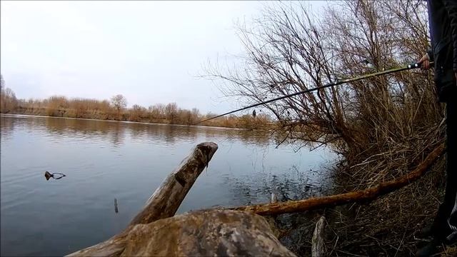 ловля на Дону в районе Шилово г. Воронеж 26 марта 2019 г. смотреть онлайн