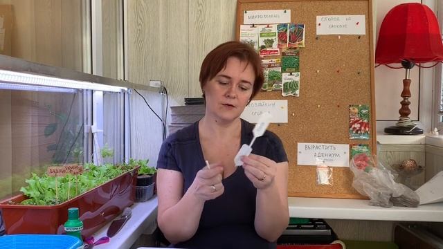 Готовь садовые бирки зимой. Лайфхаки для огорода