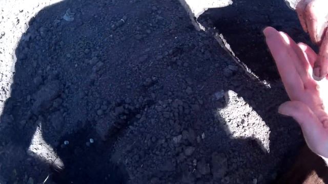 Правильная Посадка Семян Патиссонов в Открытый Грунт.Выращивание и Уход.