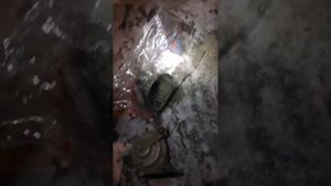 Тойота лэнд крузер 200, меняю сигнал