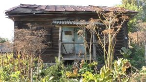Деревни в глубинке России. Деревня Захарово. Полузаброшенная деревня в зарослях. Покинутые дома.