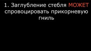 ОГУРЦЫ в ТЕПЛИЦЕ 2 лучших СПОСОБА выращивания