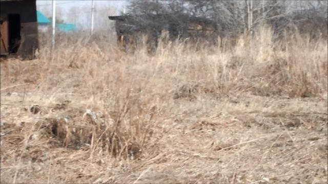 Куропатки смотреть онлайн