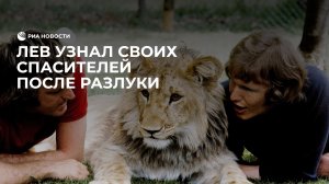 История дружбы, взволновавшая мир