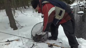 Happonen ja karmea killi