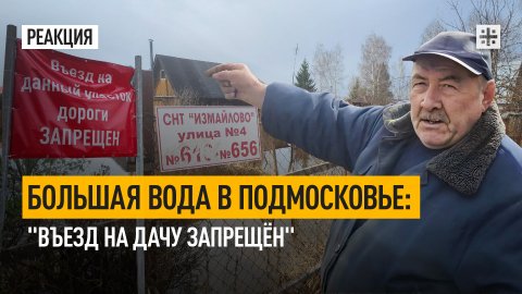Большая вода в Подмосковье: "Въезд на дачу запрещён"