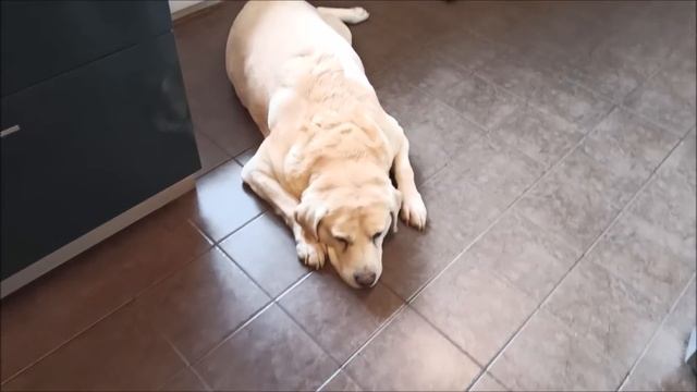 Вкусняшки к Пасхе! смотреть онлайн