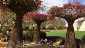 PAUL GETTY  MUSEUM