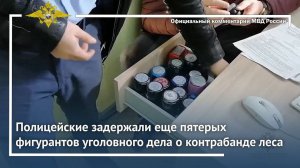 Ирина Волк: Полицейские задержали еще пятерых фигурантов уголовного дела о контрабанде леса