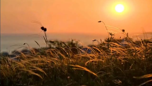 Театр Движение г Магнитогорск стихи есенина Диля Ильгуватова смотреть онлайн