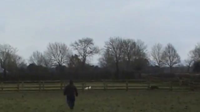 Newbridge Open Coursing January 2013 Part 1 смотреть онлайн