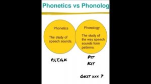 Phonetics and Phonology: The Basics You Need to Know!