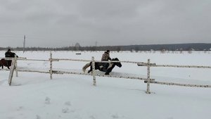 Центр Башкирская лошадь Башкортостан Башкирия