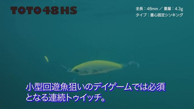 一匹に喰らい付く!!ヘビーシンペン!!「TETRA WORKS TOTO48HS」～水中アクション～ смотреть онлайн