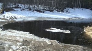 Экспедиция и Рыбалка на Квадроцикле--Вездеходе Росомаха Через Реки и Болота Сибири.