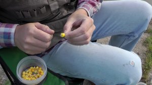 Как правильно насадить кукурузу на крючок.