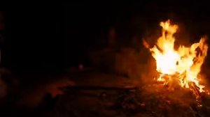 Шёл по дикой прерии дилижанс. Д.В.Васильев