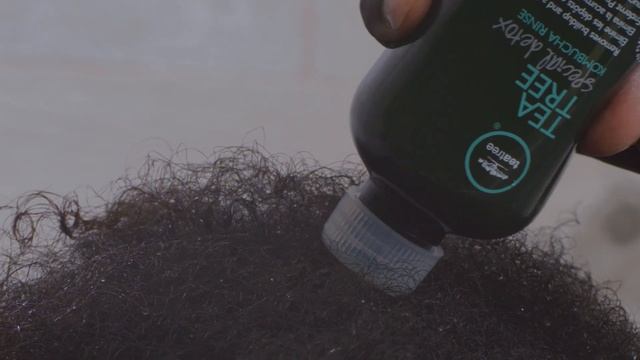 How to Use Tea Tree Special Detox Kombucha Rinse смотреть онлайн