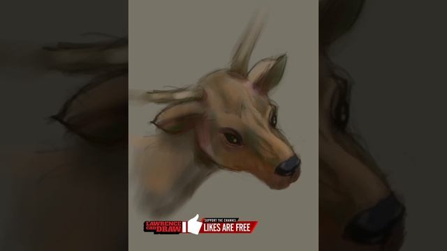 Doe - [Daily Sketch Workout] - iPad Procreate - SHORT