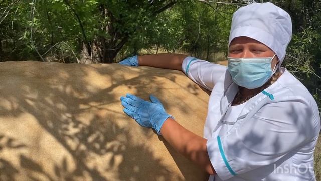 1- Регистрация и анамнез. Определение габитуса Фролова С-ВТ-303 смотреть онлайн