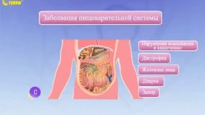 Постельное белье компании Fohow _Феникс