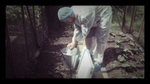 Как сохранить тепло и влажность в теплице в период похолодания