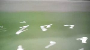 Видео игра #взаброс #колеблющаяся #блесна #КолебалкаПитер #Шторлинг #Малый #ШторлингМалый