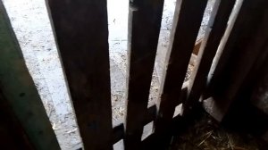 Весенние зарисовки//Дождь//Кощеевский хуторок.