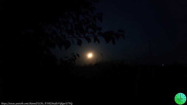 Крепкий сон под нежное пение соловья и сверчков /Звуки природы/Sounds of nature/Relax