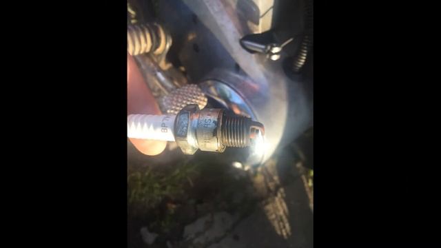 Цвет свечи NGK BP7HS смотреть онлайн