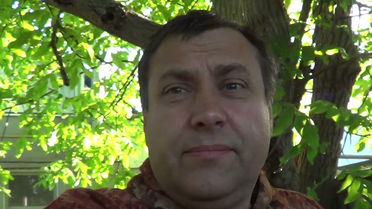 МОРОЗ В МАЕ / ВСЁ ПРОПАЛО / ВЕГАНСКИЙ ПАШТЕТ смотреть онлайн