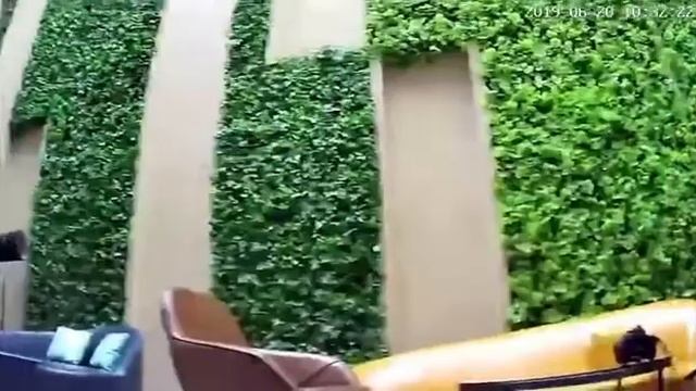 V380 Pro Indoor 2mp wifi camera смотреть онлайн