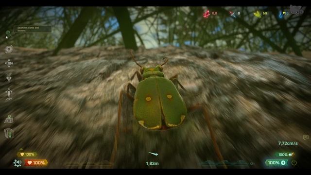 Insect Worlds Demo: обещанный русификатор не нашелся в интерфейсе и инструкции по раскладке