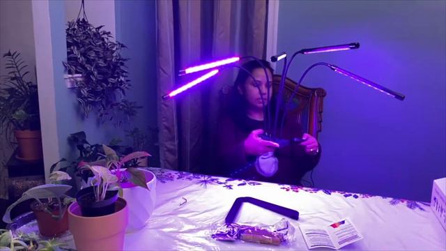 GroDrow LED Grow Light Review II Jersey Gardening