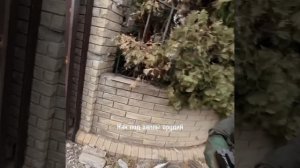 Каспер - патрон (скоро)