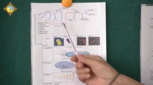 100-летию Пюрви Мучкаевича Эрдниева посвящается. Валентина Кочетова