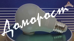 Тестирование и обзор светодиодных ламп: General 14 Вт E27  / Доморост светотехникам и инженерам