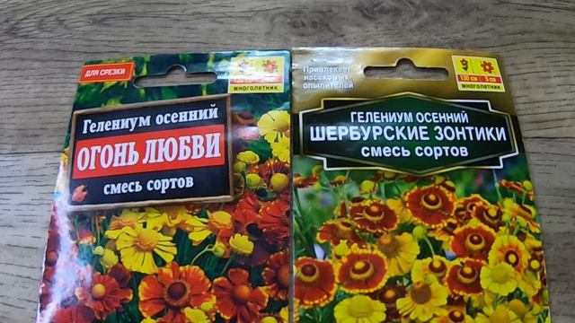 Посеяла Гелениум. смотреть онлайн