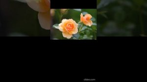 Алексей Брянцев - Мне не хватает твоих глаз (КАРАОКЕ КАВЕР БАРИТОН) #караоке  #кавер  #баритон